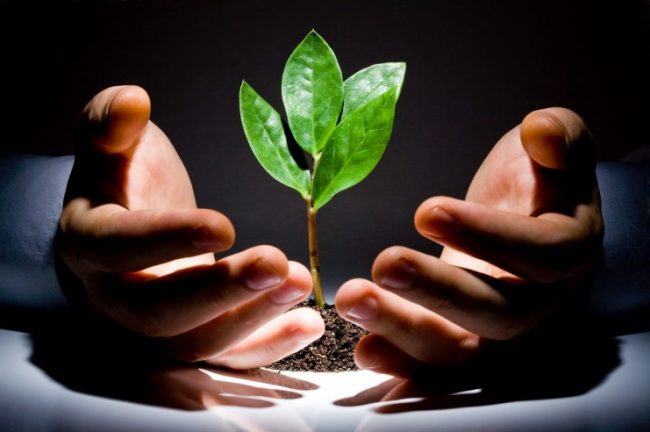 Do you Consume OR Create..?